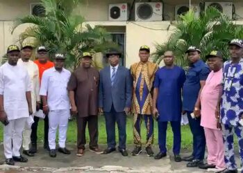 We Will Conduct a Fair and Credible LG Elections Next Year – RSIEC Chair