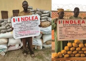 NDLEA arrests 3 blind members of drug syndicate; intercepts 3.2kgs Saudi-bound cocaine