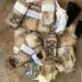 InterceptsEFCC Arrests 14 Suspected Vote Buyers in Imo, Bayelsa, Kogi States; Intercepts N11,040,000