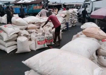 DELGA Chair Distributes 50 Bags Of Maize Palliative To Each Ward Of LGA
