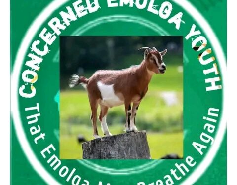 Resignation: Group Backs Chidi Lloyd, Knocks Chizi Enyi