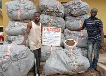 NDLEA raids Osun illicit drug party tagged unholy alliance, arrests organisers
