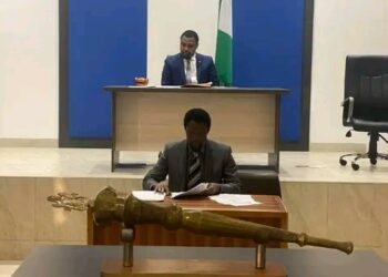 JUST IN: RSHA Led by Ehie Currently Holding Plenary