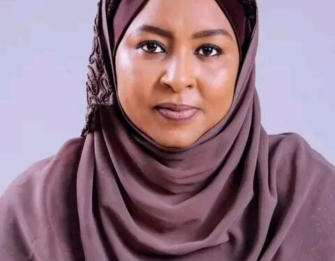 Tinubu Suspends Coordinator of National Investment Programme