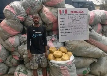 NDLEA intercepts Colos consignment in boxing kits on New Year day