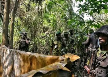 Rivers: Troops Uncover Illegal Oil Bunkering Site in Etche