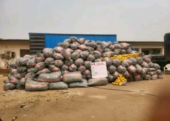 NDLEA intercepts 14.5 tons of Ghanaian Loud linked to wanted drug baron in Lagos
