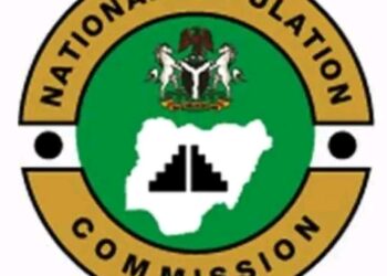 Only Persons Below 18 Will Get Birth Certificates – NPC
