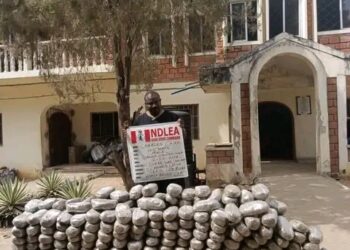 NDLEA Intercepts Large Consignment of Loud Concealed in Loudspeakers at Lagos Airport