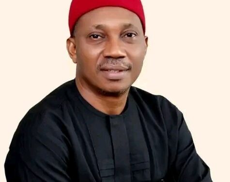 Tinubu Appoints Rivers APC Deputy Governorship Candidate DG of NESREA