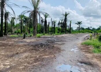 OIL SPILLAGE: EMOHUA LGA PROJECTED FOR REMEDIATION, AS PETROLEUM MINISTRY VISITS IMPACTED SITES