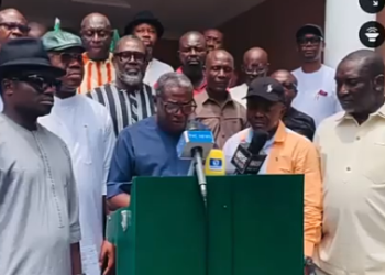 Council Chairmen Accuse Gov Fubara of Withholding LG Allocation