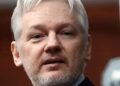 Wikileaks: Julian Assange freed in US plea deal