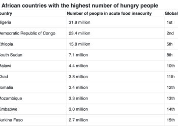 Business Insider Africa Lists Countries With Highest Number of Hungry People