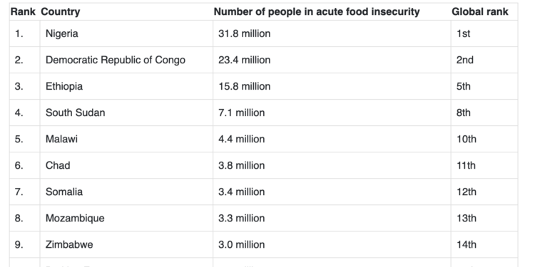 Business Insider Africa Lists Countries With Highest Number of Hungry People