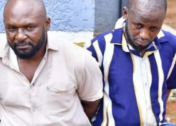 NDLEA Arrest Drug Baron in Village Mansion, Raid Operational Bases in Rivers, Imo