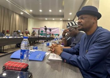 Amaewhule Participates in Constitutional Review