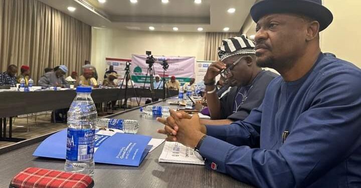 Amaewhule Participates in Constitutional Review