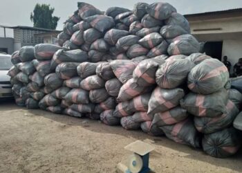 NDLEA Nabs Most Wanted Lagos Drug Baron, Temo