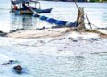 Okrika CTC Chairman Begins Land Reclamation Project