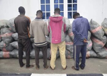 Nigerian Navy Hands Over 72 Bags of Cannabis Sativa & Four Suspects to NDLEA