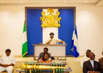 Oko-Jumbo-led Assembly Screens, Confirms BPP Board Chairman, Members