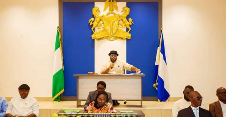Oko-Jumbo-led Assembly Screens, Confirms BPP Board Chairman, Members