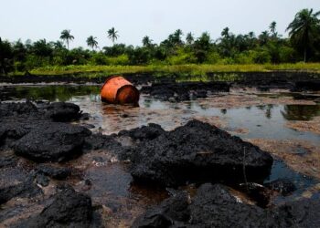 FG Will Release Counterpart Funding For Ogoni Clean-up – Reps Assures