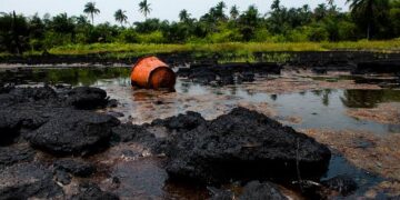 FG Will Release Counterpart Funding For Ogoni Clean-up – Reps Assures
