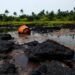 FG Will Release Counterpart Funding For Ogoni Clean-up – Reps Assures