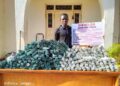 NDLEA Intercepts 31 Million Pills, Bottles of Opioids wlWorth N17.9billion at Lagos, PH Ports