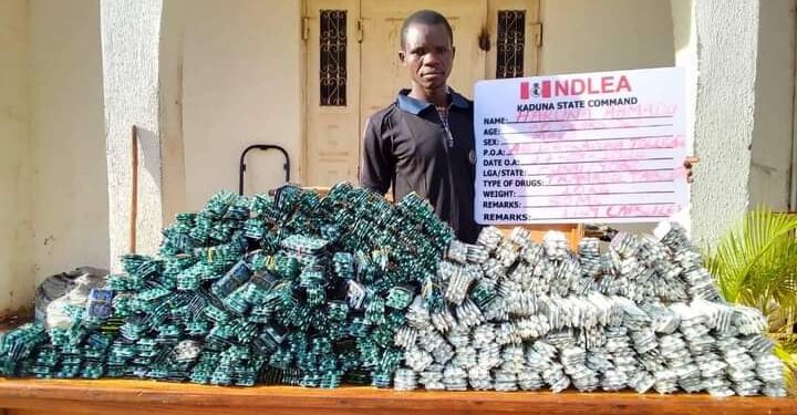NDLEA Intercepts 31 Million Pills, Bottles of Opioids wlWorth N17.9billion at Lagos, PH Ports