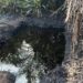 Again, Navy Discovers, Deactivates illegal Oil Site in Rivers Community