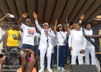 LG Elections: APP Holds Mega Rally in Rivers South East