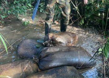 Army Deactivates illegal Refining Sites, Destroys Wooden  Boats With Stolen Crude in Rivers