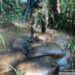 Army Deactivates illegal Refining Sites, Destroys Wooden  Boats With Stolen Crude in Rivers