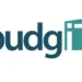 Only Two States Can Operate Without Relying on Revenue From FAAC – BudgIT