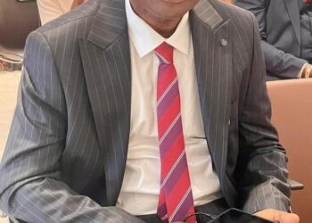 Etche Council Chairman Appoints 13 Aides