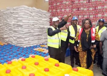 We Will Continue to Give Succor to Flood Victims – RSG