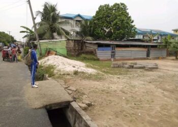 Rottweiler Mauls Schoolboy to Death in Port Harcourt