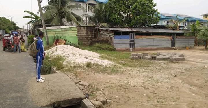 Rottweiler Mauls Schoolboy to Death in Port Harcourt