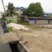 Rottweiler Mauls Schoolboy to Death in Port Harcourt