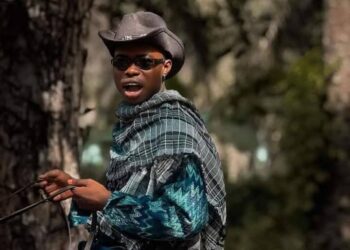 Streamer Peller Alleges Death Threats Over #30DayRants Criticism