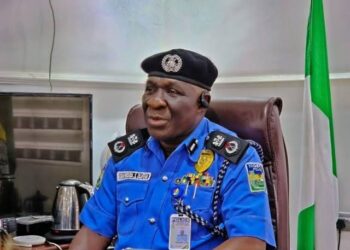 Man Kills Brother Over N2,000 Dispute in Delta, Police Confirm Arrest