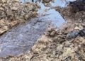 Fresh Oil Spill Hits Oshika Community in Rivers State