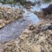 Fresh Oil Spill Hits Oshika Community in Rivers State