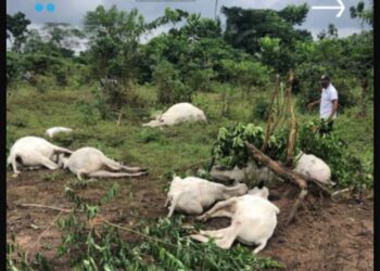 RSG INAUGURATES STATE FARMERS, HERDERS COMMITTEE