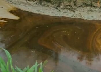 Rivers: Fresh Oil Spill Hits Ogoni Community