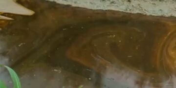 Rivers: Fresh Oil Spill Hits Ogoni Community