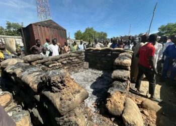 BREAKING: 12 Women Abducted by Suspected Boko Haram Fighters in Borno
